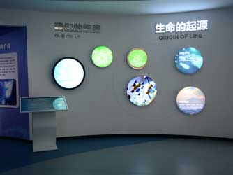 格林醫學生命科技體驗館數字多媒體雙屏互動體驗