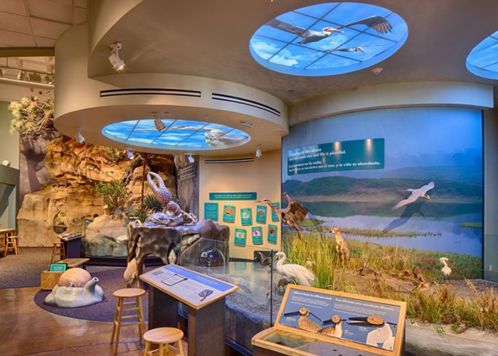 科普展廳多媒體-好奇數字科技