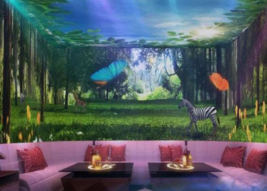 墻面互動(dòng)投影在酒吧、ktv等娛樂(lè)場(chǎng)所的應(yīng)用場(chǎng)景