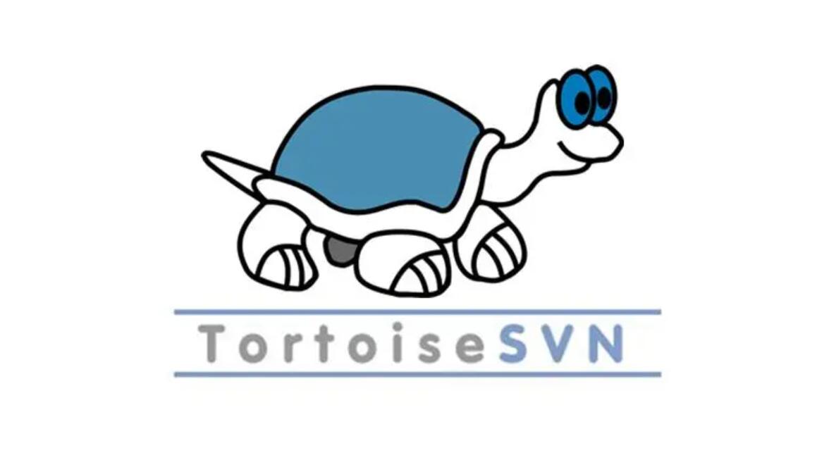 香港服務器可以搭建SVN嗎？有什么優勢？