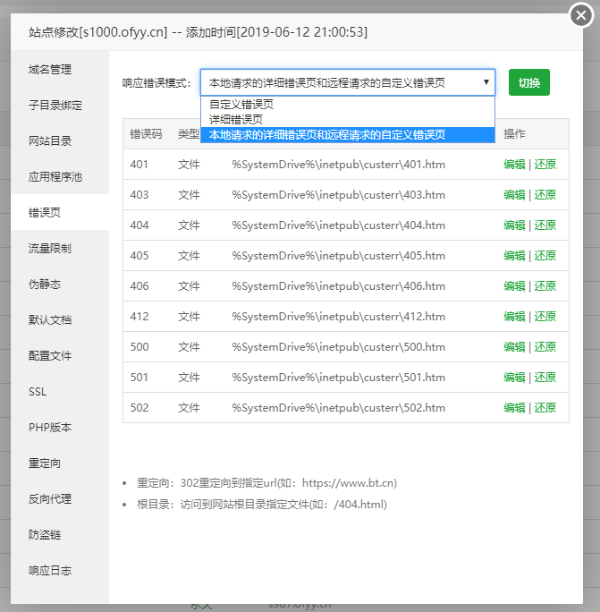 windows寶塔IIS自定義錯誤頁和錯誤排除
